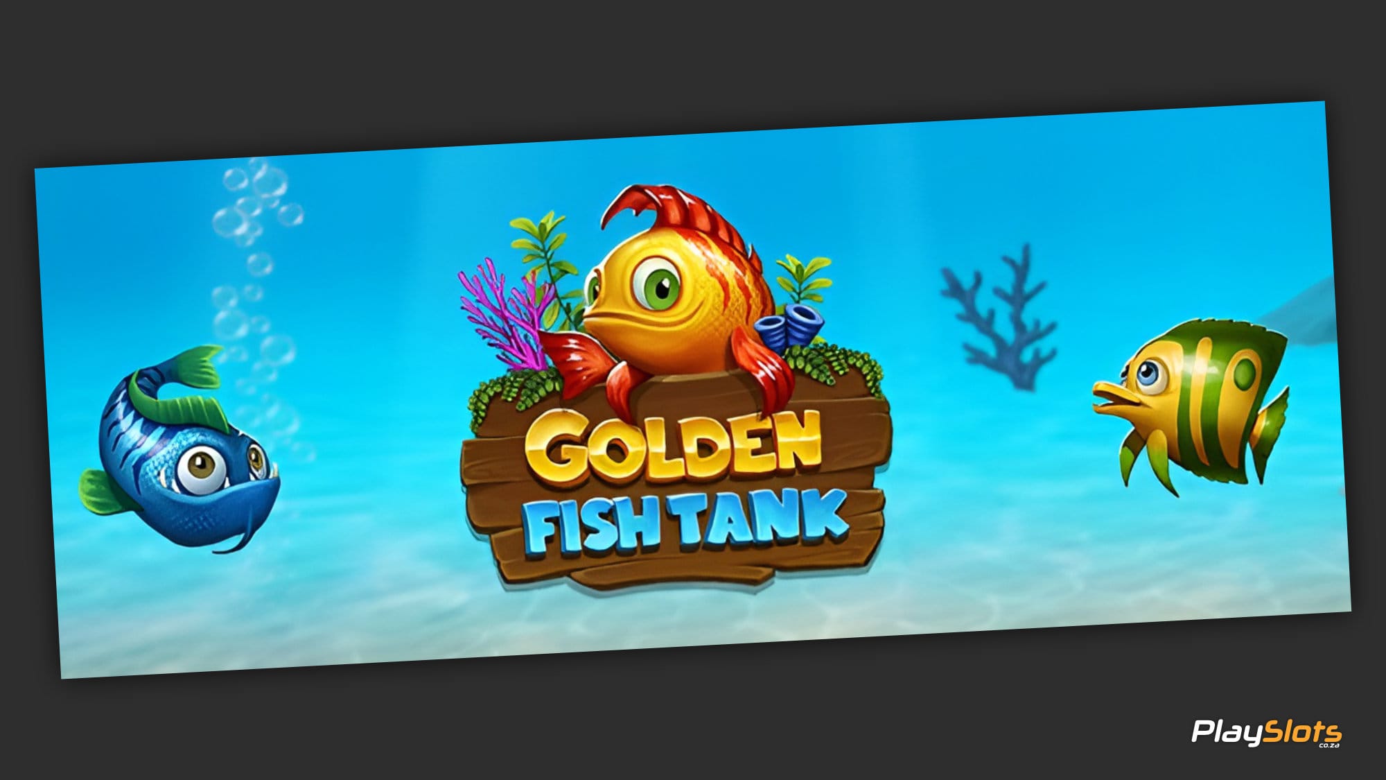 Golden Fish Tank intro image.